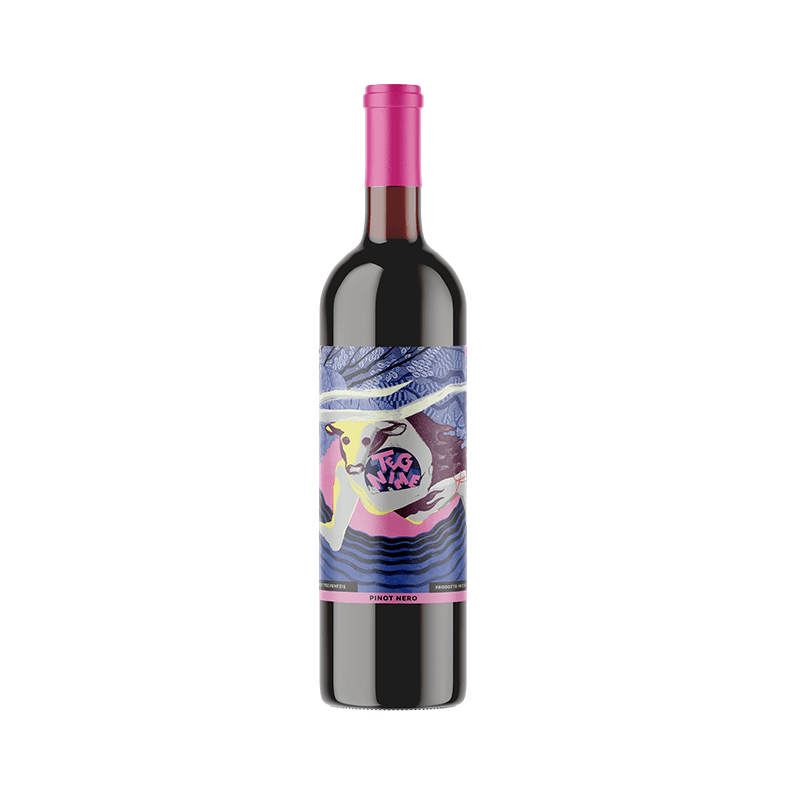 Tegnime Pinot Nero IGT Trevenezie
