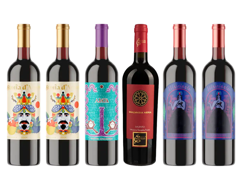 Italian South Red Wine Collection