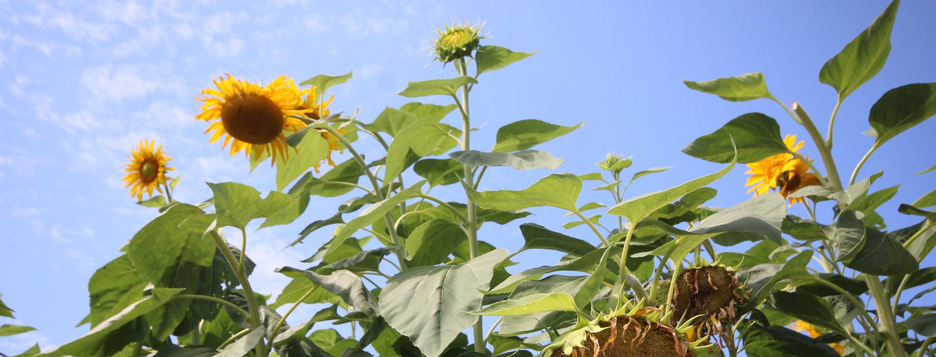 article-banner