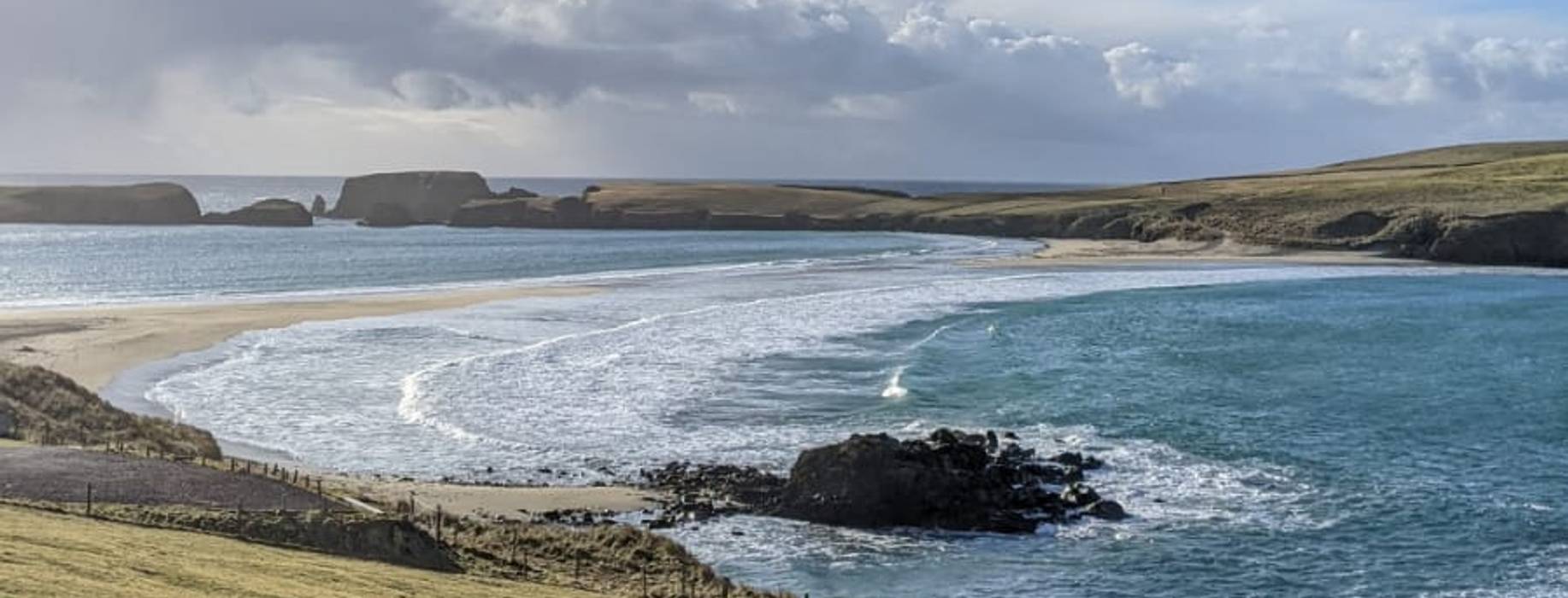 article-banner