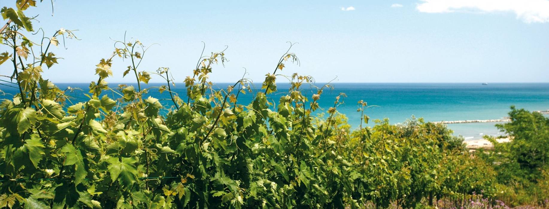 article-banner