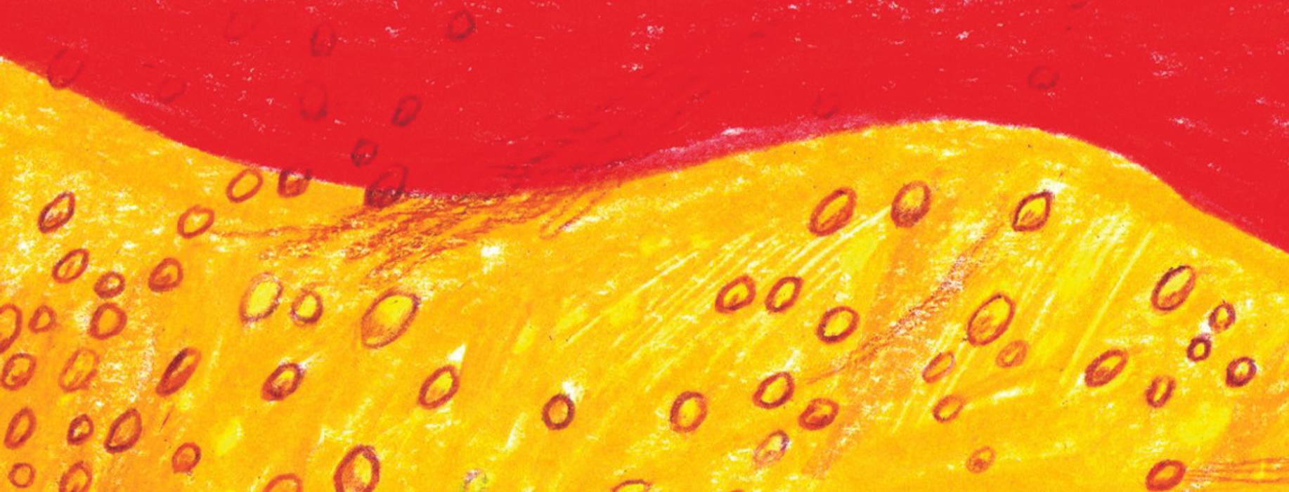 article-banner